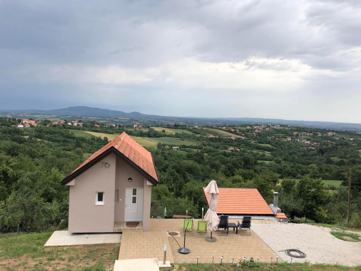 Vila Pogled Arandjelovac Eksteriør bilde