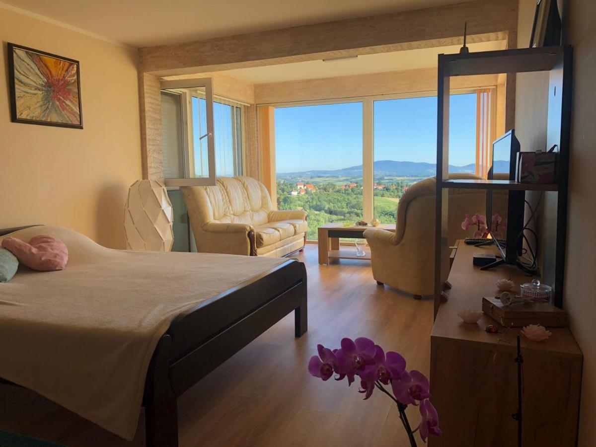 Vila Pogled Arandjelovac Eksteriør bilde