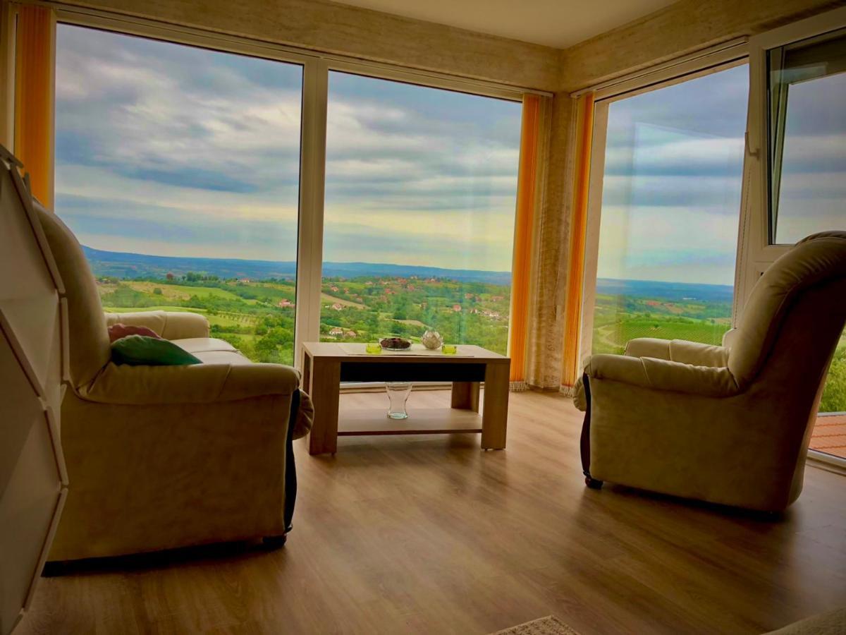 Vila Pogled Arandjelovac Eksteriør bilde