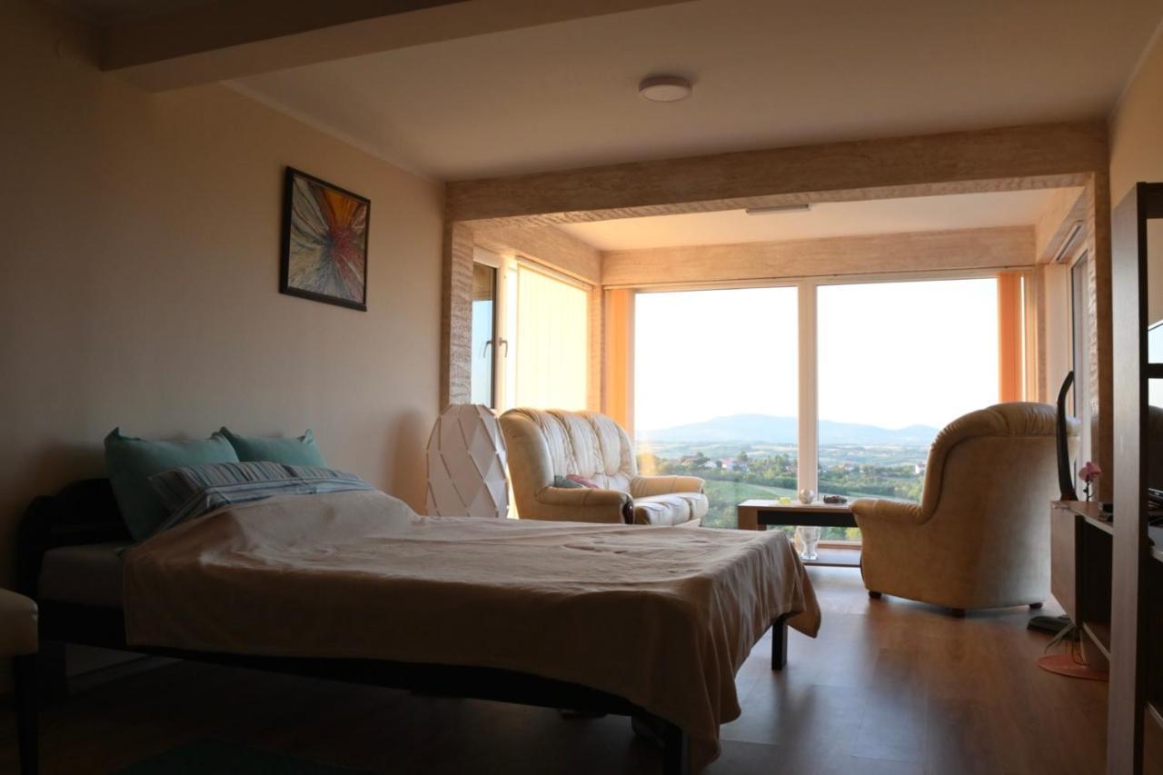 Vila Pogled Arandjelovac Eksteriør bilde