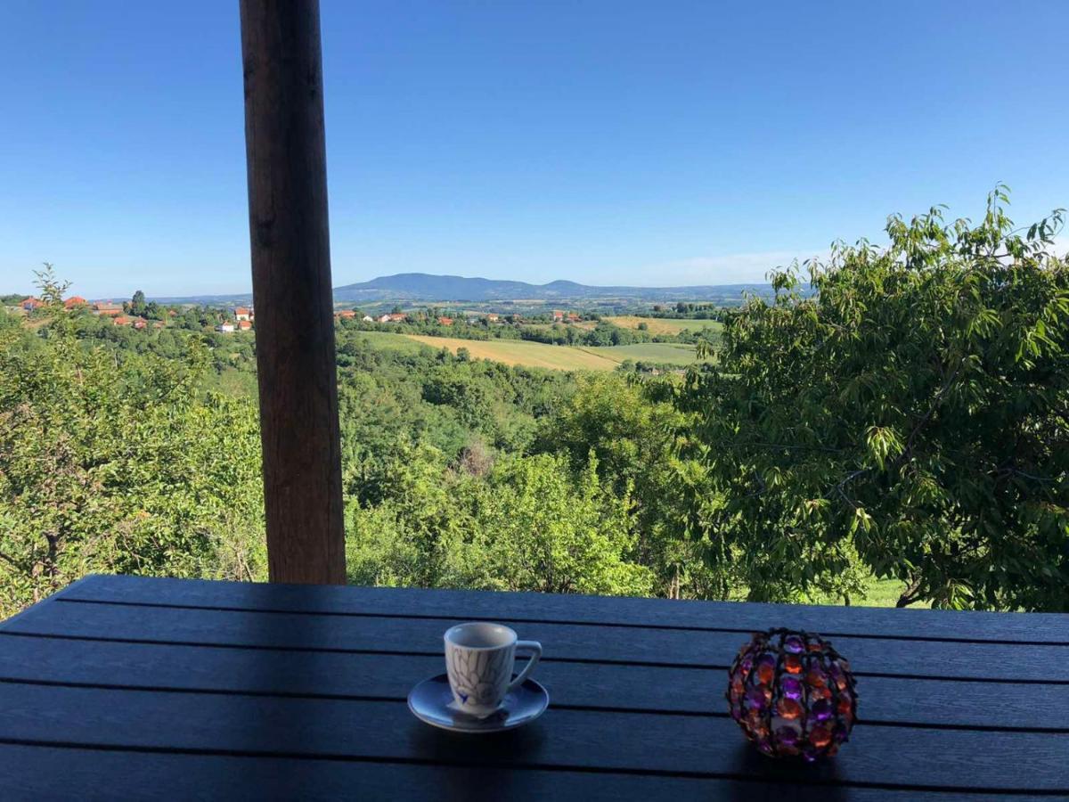 Vila Pogled Arandjelovac Eksteriør bilde